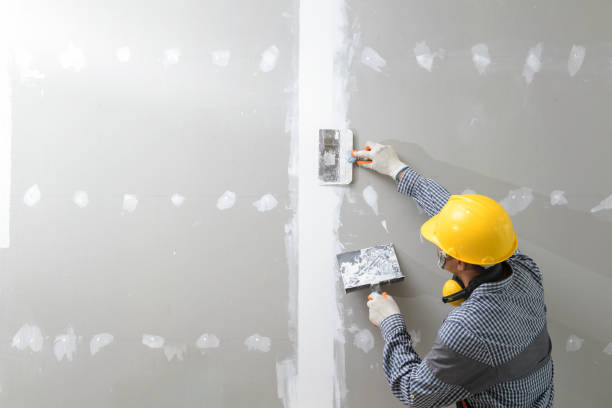 Professional Drywall & Painting Services in Limon, CO